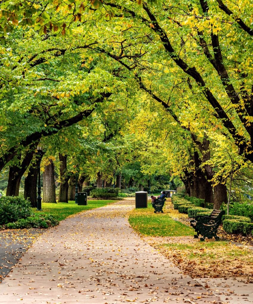 Rosalind Park